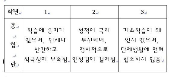 필자가 임의로 만든 생활기록부 상의 종합란 